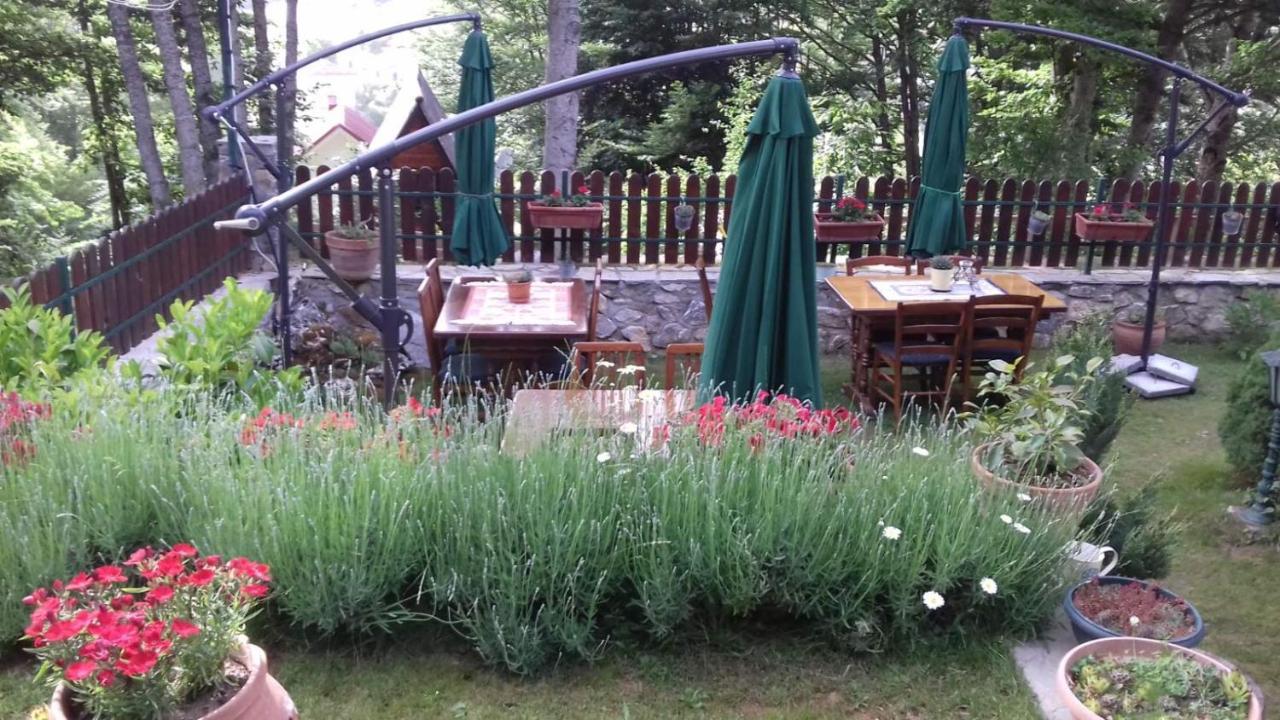 Restaurant And Apartments - T'Ga Za Jug Lazaropole Exteriör bild